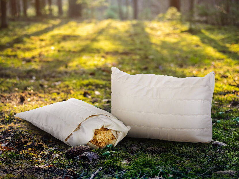 Werbefotografie: Bildretusche Arvenkissen in Waldhintergrund