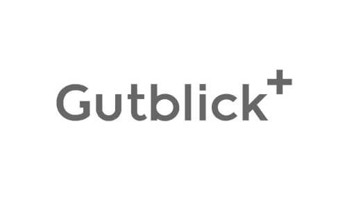 Schriftlogo Gutblick mit hochgestelltem Plus