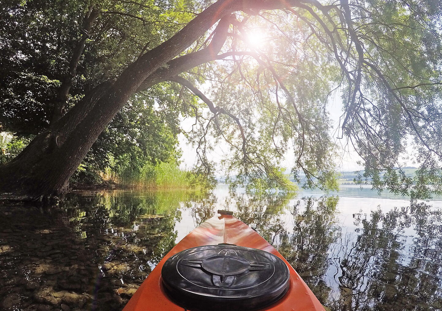 Bilderbuchstimmung am Ufer des Sempacher Sees