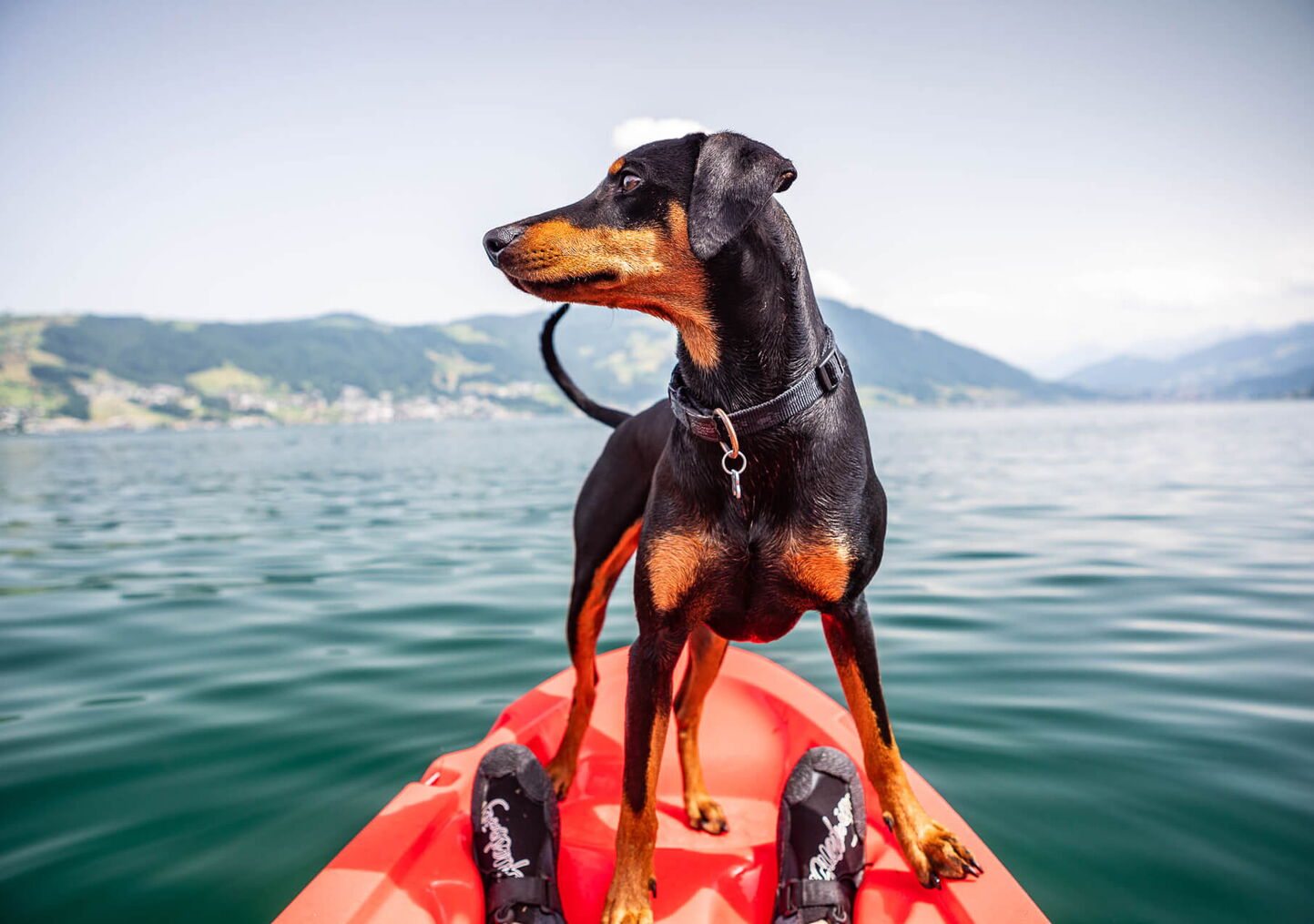 Werbefotografie: Kajak Paddelansicht mit Hund und Seepanorama